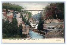 c1910's Lower Bridge Over Fall Creek Gorge Ithaca NY Handcolored Postcard picture