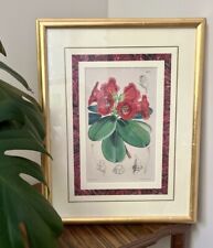 Antique Certificate of Authenticity Plant from Royal Garden of Kew by WH Fitch picture