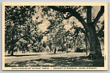 OXFORD, MS Postcard-  STATELY OAKS ON THE OLE MISS CAMPUS UNIVERSITY OF OXFORD picture