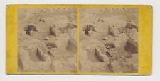 Stereoview c1860s Wroxeter Excavations in Salop Roman Ruins Shropshire England picture