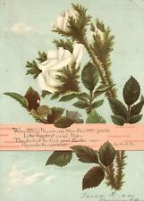1880s-90s White Rose Flowers Greetings Spring Flowers Rise Trade Card picture