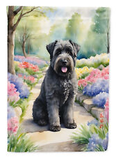 Bouvier des Flandres Spring Path Flag Canvas House Size DAC6579CHF picture