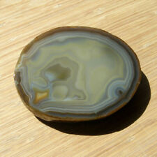Agate Geode Slice Polished Display Stone Brown Crystal Nice Banding 5.75 Inches picture