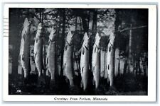 1948 Greetings From Perham Minnesota MN, Fishes Posted Vintage Postcard picture
