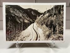 c1940s RPPC Washington WA Snoqualmie Pass Sunset Highway Ellis Vintage Postcard picture