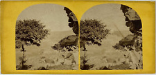 Stereo, England, North Wales, Denbigh Castle Vintage Stereo Card Album Print picture
