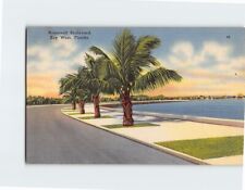 Postcard Roosevelt Boulevard Key West Florida USA picture