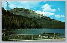 Butte Montana Beartooth Lake Man Fishing Camp Ground Mountain MT Postcard Vtg F9 picture