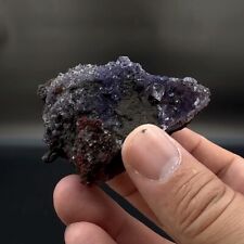 Gorgeous Glittery Lustrous Purple Fluorites on Matrix - Ojuela Mine, Mexico picture