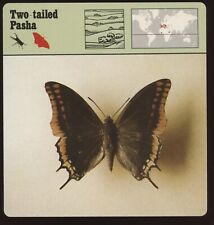Two Tailed Pasha  Safari Cards Rencontre Insects picture