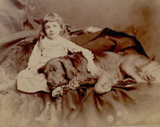 Antique IRISH SETTER DOG & Little Girl 1880s Photo MALDEN MA Vintage Huge Dog picture