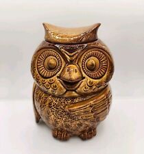 Vintage 1960s McCoy Pottery #204 USA Brown Owl Cookie Jar Detailed BEAUTY  picture