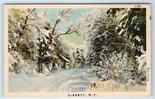 Vintage Postcard Snowy Winter Road Scene Liberty NY New York Sullivan County  picture