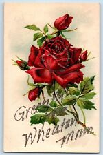 Wheaton Minnesota Postcard Greetings Roses Glitter Embossed 1910 Vintage Antique picture