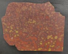 MORGAN HILL POPPY JASPER w/DRAGONS THICK SEALED LARGE END SLAB 954 GRAMS- 2.1 LB picture