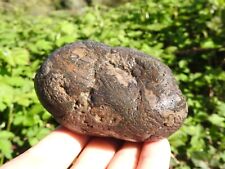 Banded RHYOLITE Beach, River Rock 16oz UNUSUAL MARBLED Agate Like Banding RARE picture