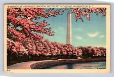 Washington D.C. Washington Monument, Cherry Blossoms, Vintage c1941 Postcard picture