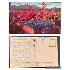Vintage Postcard, Napa Valley, California, May 21, 1970 picture