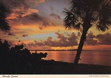 Palms and Sea Grapes Silhouetted in a Florida Sunset, 1974 --POSTCARD picture