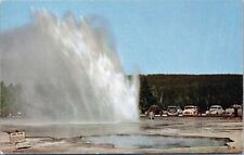 Postcard WY Daisy Geyser Old Cars Scenic View Yellowstone National Park Wyoming picture