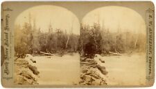 CANADA SV - Ontario - Parry Sound - Seguin River - RW Anderson 1880s picture