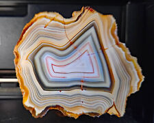 SPECTACULAR Rare South Sumatra Agate Polished Collector Specimen, Indonesia picture