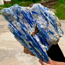 2.78LB  Rare Natural beautiful Blue KYANITE with Quartz Crystal Specimen Rough picture
