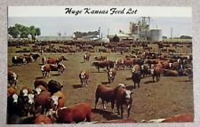 Postcard - Huge Kansas Feed Lot - Unposted picture