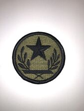 Texas National Guard Subdued BDU U.S. Army Patch picture
