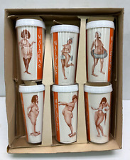 vintage 1965 maidens party insulated tumblers enrol publishing in original box picture