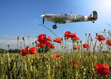 Spitfire BM597 JH-C  poppy field, canvas print various sizes free delivery  picture