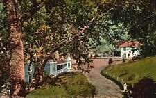 Vintage Postcard 1910's Cottages & Hotel The Geysers Sonoma Co. California CA picture