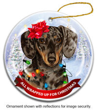 All Wrapped Up Ornament - Shorthaired Chocolate and Tan Dapple Dachshund picture