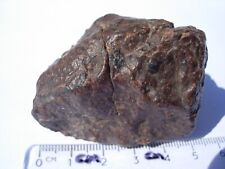 134 grams SouthWestern Algeria xxx Meteorite as found individual in 2003 w/COA picture