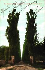 Rochester New York The Poplars Holy Sepulchre Cemetery Postcard picture