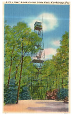 Pennsylvania Cook Forest State Park Fire Tower c1930 Vintage PA Postcard-Q2-44 picture