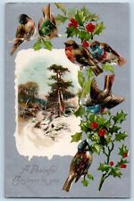 Christmas Postcard Song Birds Holly Berries Winter Scene Nash Antique c1905 picture