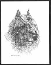 #329 BOUVIER des FLANDRES  dog art print Pen and ink drawing by Jan Jellins picture