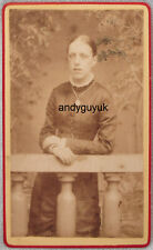 CDV LADY BY THOMAS HITCHIN SMETHWICK ANTIQUE PHOTO TREE PAINTED BACKGROUND picture