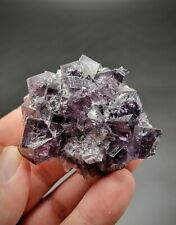 Outstanding purple Fluorite - Weardale, Co. Durham, Cumberland, England Ex Zinn picture