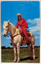 Albino Trick Horse, Lady on Horseback, Vintage Postcard picture