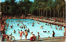 1950's Summer Swimming Anaheim CA City Park Plunge Children Lifeguard Life Ring picture