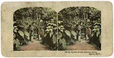 c1900's Colorized Stereoview The Crystal Crotto, Soldiers' Home Dayton, OH picture