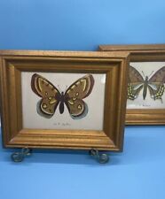 2 Vintage 1950’s Le P. Machaon And Le P. Apollon Butterfly Prints picture