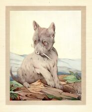 Antique Scottish Terrier Print c1915 E J Detmold Dog Art Illustration 5154L picture