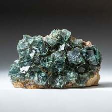 Genuine Green Fluorite from Namibia (1.6 lbs) picture