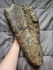 Rare Colossal Hadrosaur Limb Fossil Dinosaur Bone Partial Hell Creek Fm picture