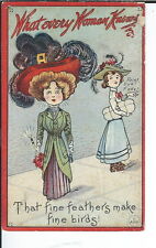 AX-023 - What Every Woman Knows, Feathers Birds Golden Age Postcard 1907-1915 picture