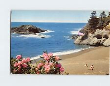 Postcard Pacific Ocean Seacoast picture