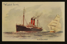 S.S. Calypso Postcard Steamship Wilson Line United Kingdom Illustrated Scene picture